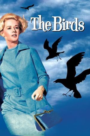 Birds.jpg