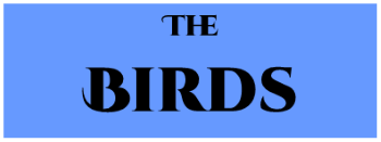 Birds.png