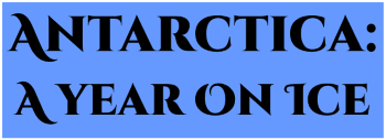 Year.png